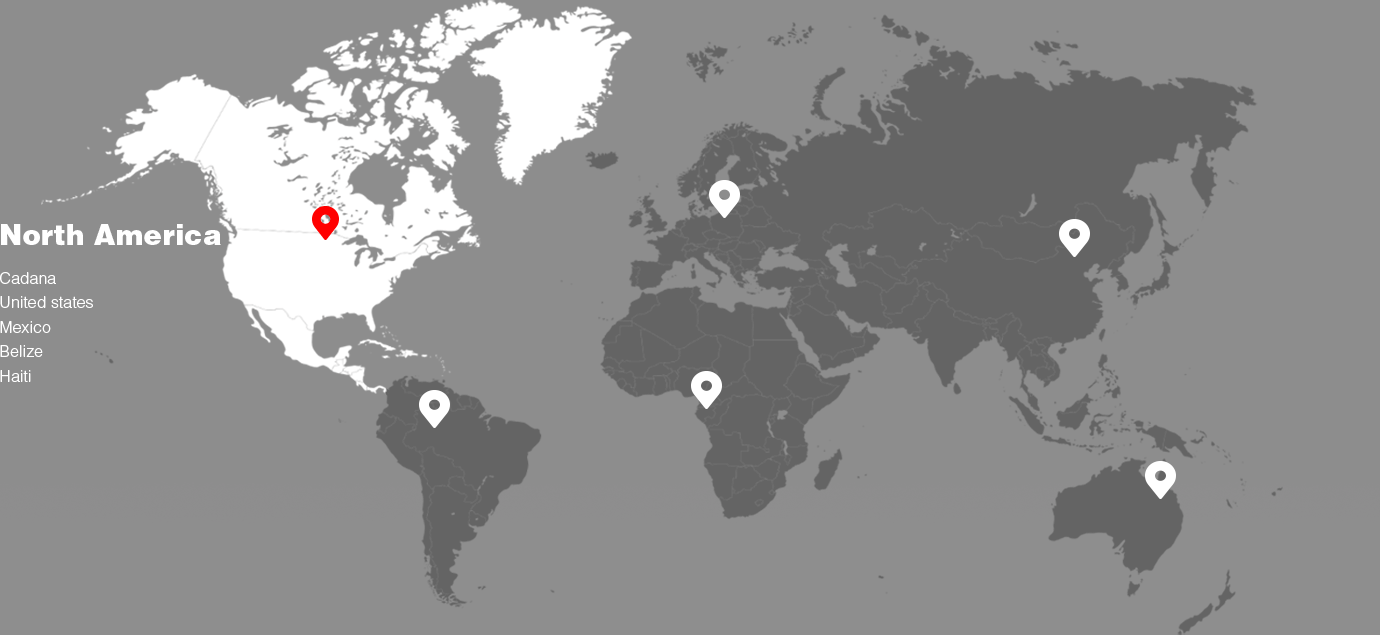 Disponible en más de 140 países y regiones de los cinco continentes para diferentes necesidades del mercado.