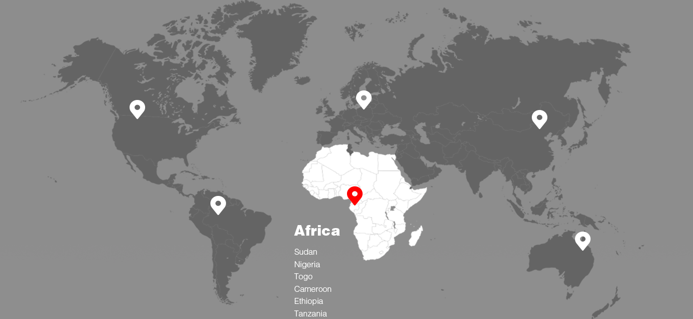 Disponible en más de 140 países y regiones de los cinco continentes para diferentes necesidades del mercado.